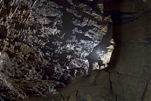 Copyright © Steve Sharp 2016