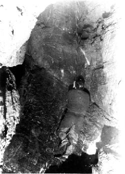 Copyright © Steve Sharp 2016