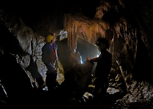 Copyright © Steve Sharp 2016